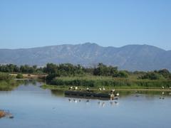 Naturpark Aiguamolls in Katalonien, Spanien