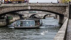 City Swans, Paris