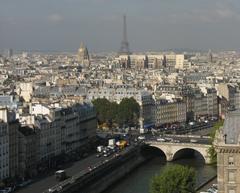 Panoramic view of Paris from Notre Dame