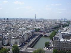 Eiffel Tower viewed from Notre-Dame Cathedral