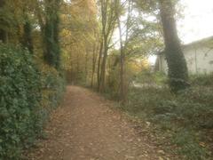 Path along the edge of Eller Forest in Düsseldorf