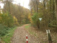 Entrance to Eller Forest Nature Reserve from Rothenbergstr parking lot towards former landfill