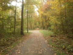 Wegkreuzung im Eller Forst, Landschaftsschutzgebiet Stadtgebiet Düsseldorf