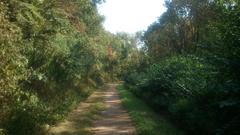 Path in Eller Forest, Düsseldorf