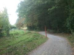 Wide Reitweg pathway surrounded by dense greenery in LSG Eller Forst