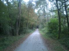 LSG Eller Forst Weg forest pathway