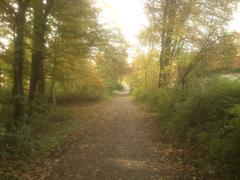 Path in Eller Forest Nature Reserve Düsseldorf