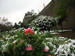 Spring snow and city wall