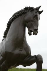 The American Horse bronze sculpture by Nina Akamu