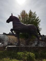 Leonardo's horse sculpture at Opera San Donnino