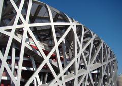 sideview of a bird's nest