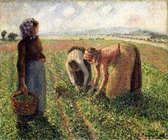 Camille Pissarro La Cueillette des pois, Eragny painting