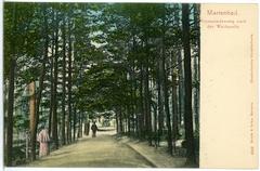 Promenadenweg leading to the Waldquelle in Marienbad, 1903