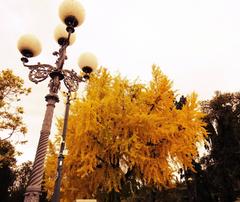 Autumn in Florence at Piazzale Michelangelo