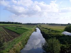 L'Arnoult river flowing through Trizay