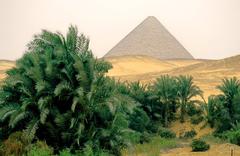 Mini-oasis next to the Red Pyramid in Dahshur, Giza, Egypt