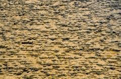 Red Pyramid in Dahshur, Giza, Egypt