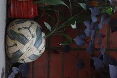 Abandoned football in a field at Notre Dame College, Dhaka