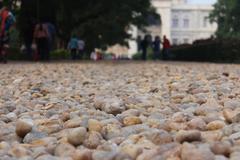 Victoria Memorial museum in Kolkata