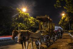 Horse carriage ride around Victoria Memorial in Kolkata