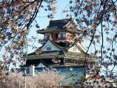 Kiyosu Castle with cherry blossoms