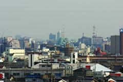 View of Nagoya Castle from the Kiyosu Castle simulated keep