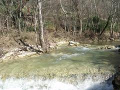 The Tescio River at Bosco di San Francesco in Assisi