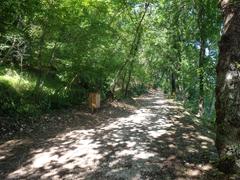 Saint Francis woodlands in Assisi