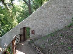 Saint Francis woodlands in Assisi