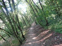 Saint Francis woodlands in Assisi