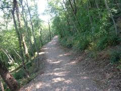 Saint Francis woodlands in Assisi