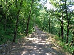 Saint Francis Woodlands in Assisi