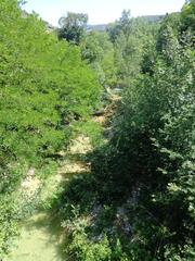 Saint Francis woodlands in Assisi