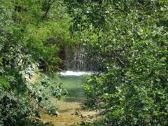 Saint Francis woodlands, Assisi