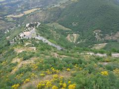 Saint Francis woodlands in Assisi with trees, paths, and greenery