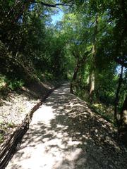 Saint Francis Woodlands in Assisi