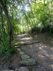 Saint Francis woodlands in Assisi