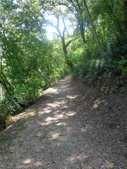 Saint Francis woodlands in Assisi