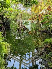 Aquatic House at the Brooklyn Botanic Garden