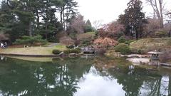 View of the BBG Japanese Hill-and-Pond Garden