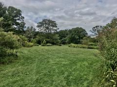 grassy meadow at Brooklyn Botanic Garden