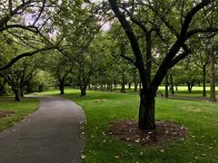 Pathways in Brooklyn Botanic Garden in September 2020