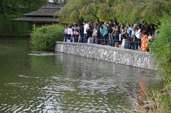 Cherry Blossom Festival at Brooklyn Botanical Garden