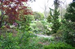 Cherry Blossom Festival at Brooklyn Botanical Gardens