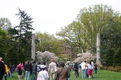 Brooklyn Botanical Gardens Cherry Blossom Festival