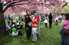 anime costumes at Brooklyn Botanical Gardens Cherry Blossom Festival