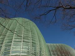 National Art Center Tokyo exterior view