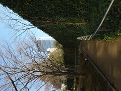 National Art Center in Tokyo with its unique wavy glass facade