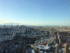 Looking northwest from Tokyo Midtown in Tokyo, Japan