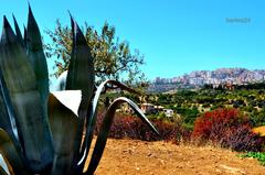 Agrigento landscape with ancient ruins